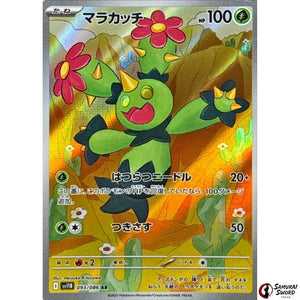 Maractus