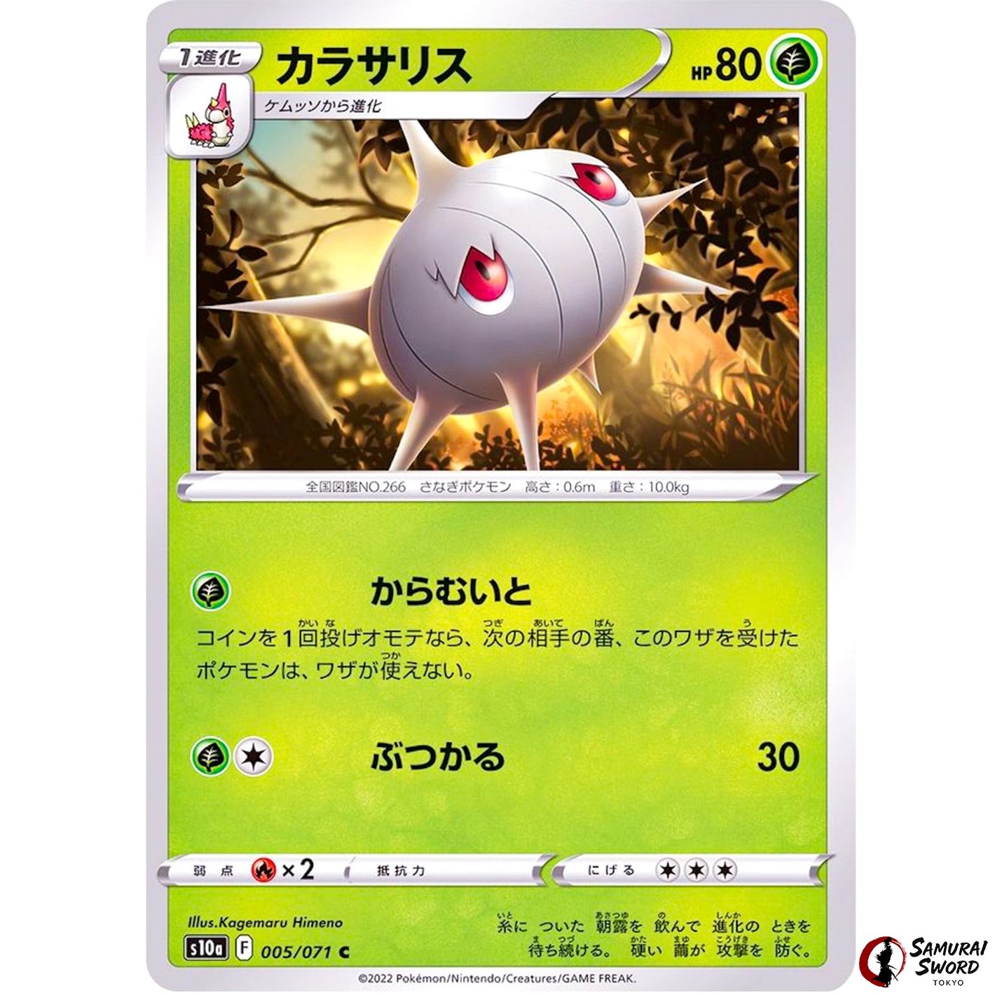 Silcoon
