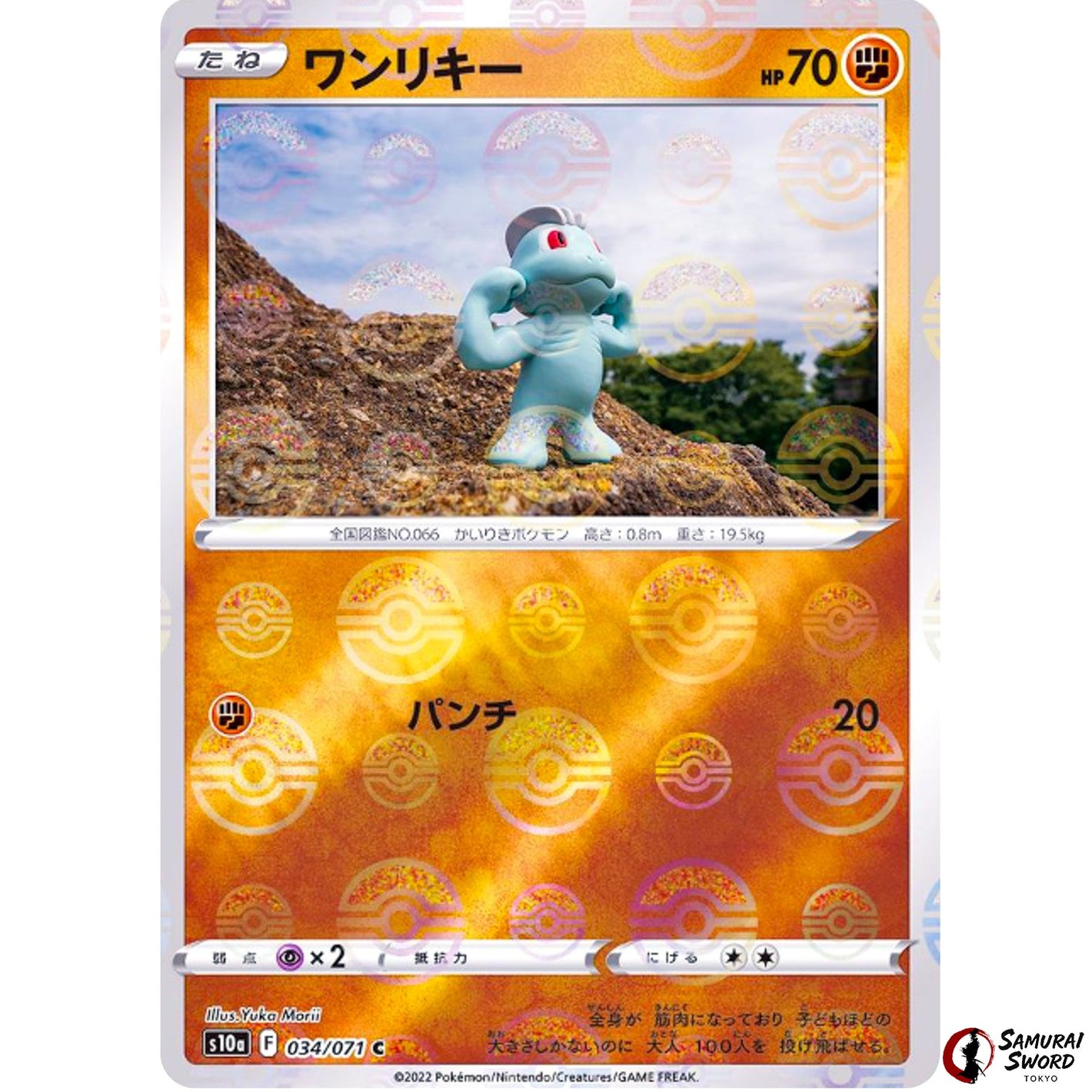 Machop Mirror Holo