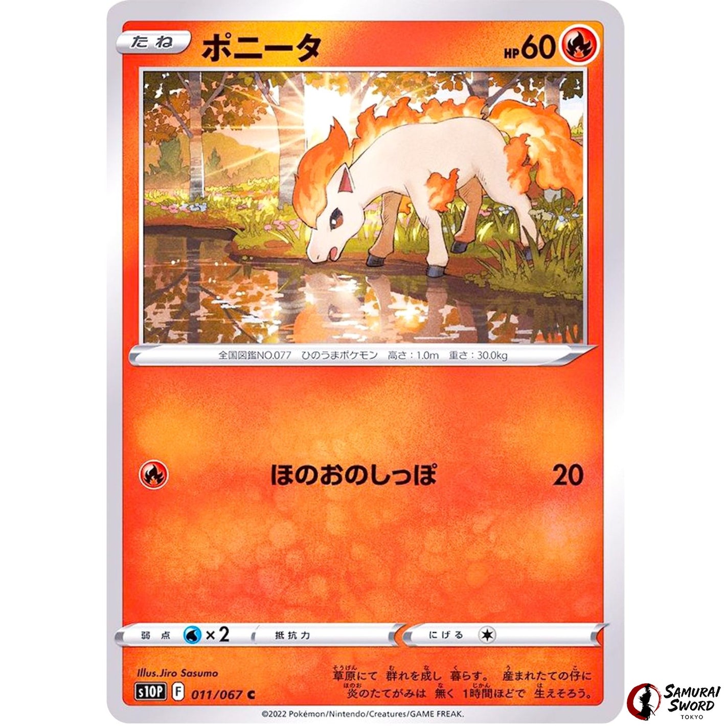 Ponyta