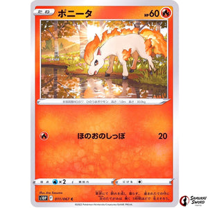 Ponyta