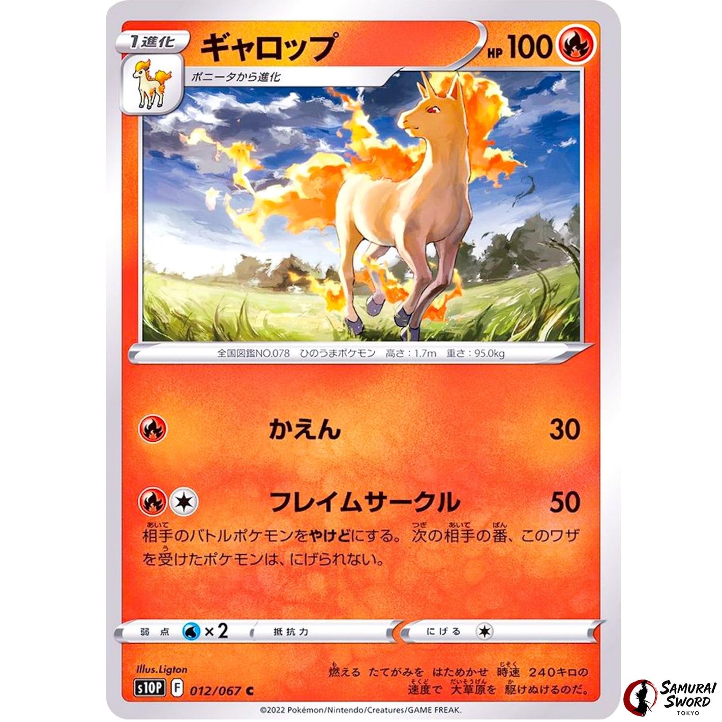 Rapidash