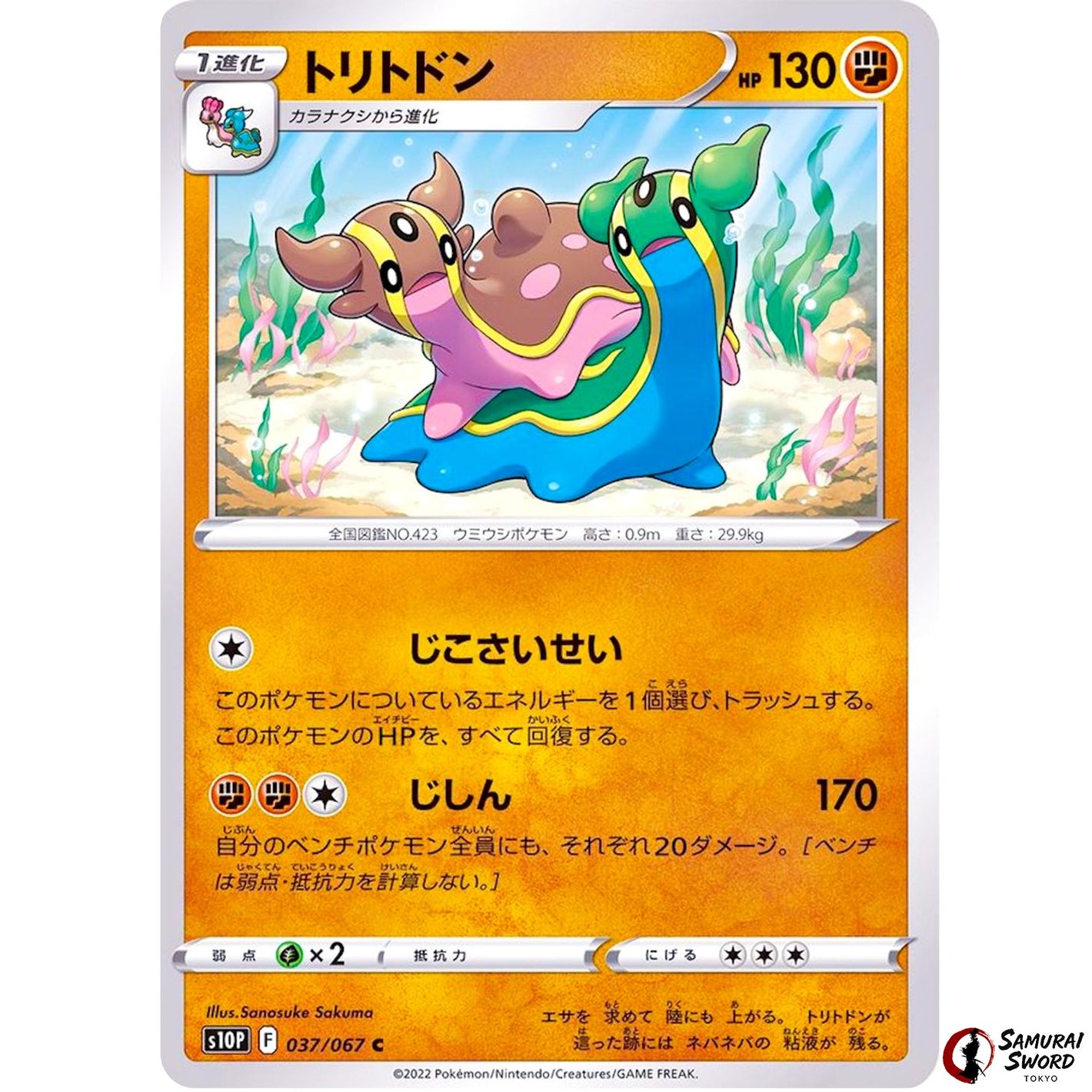 Gastrodon