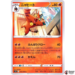 Torracat