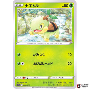 Turtwig