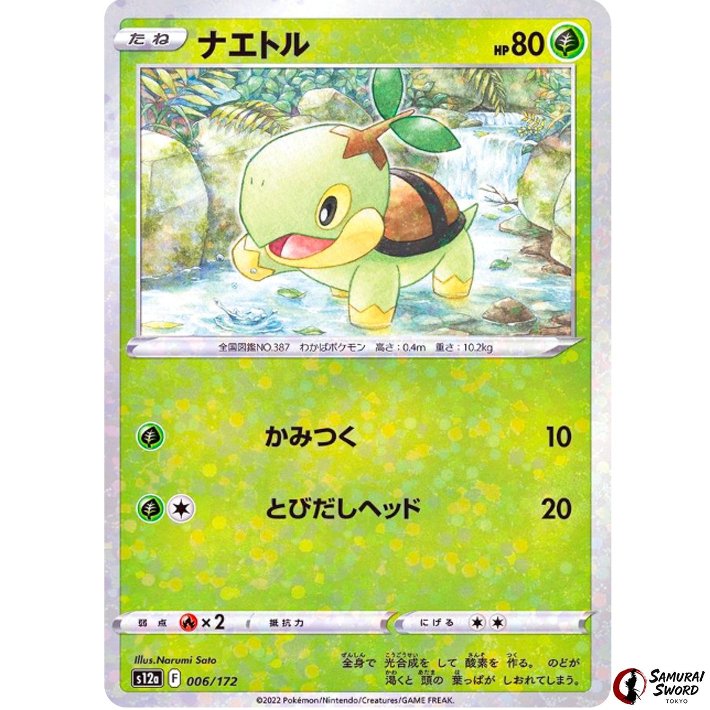 Turtwig Mirror Holo