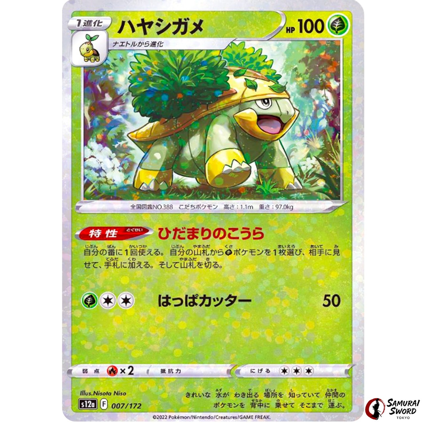 Grotle Mirror Holo