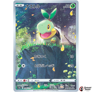 Turtwig