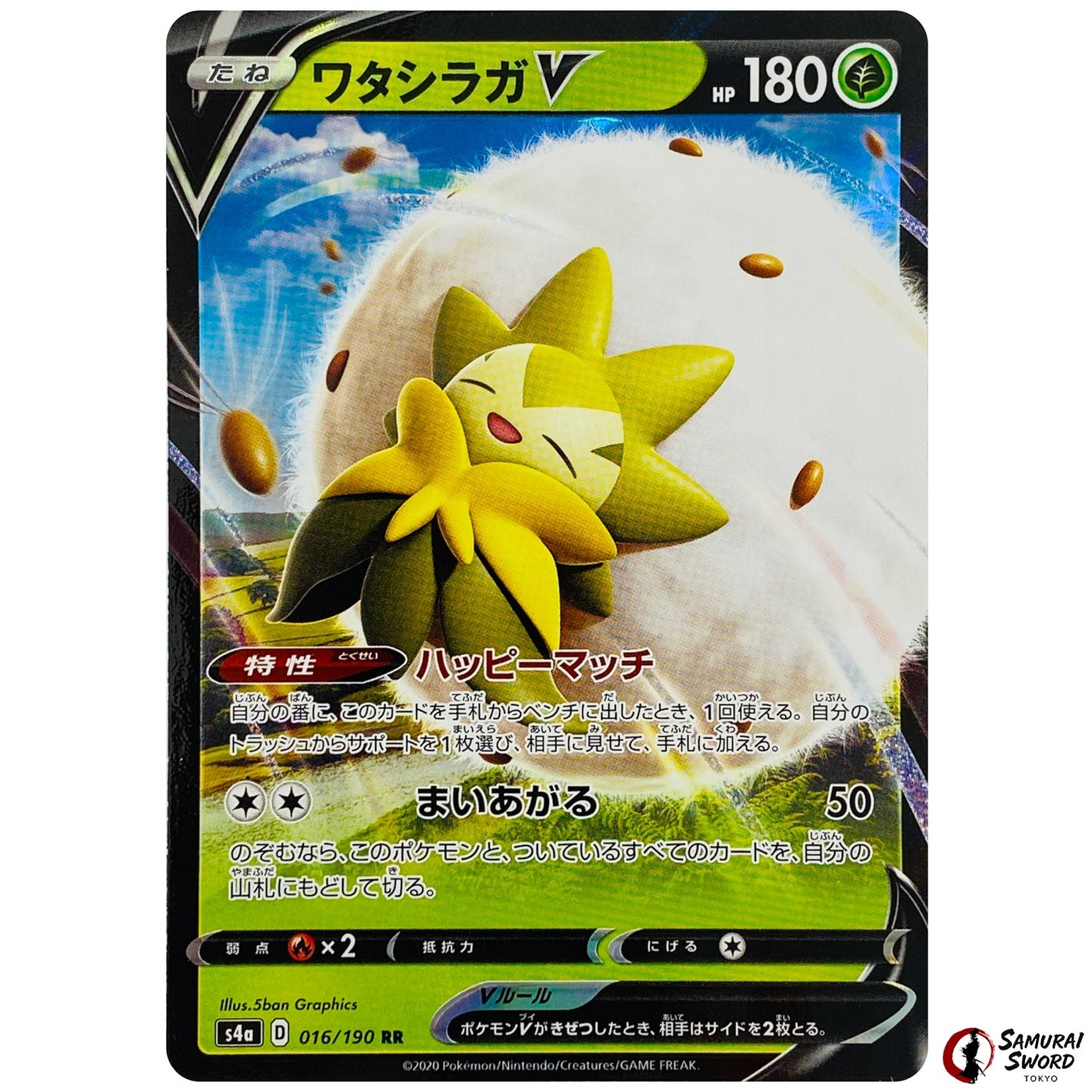Eldegoss V