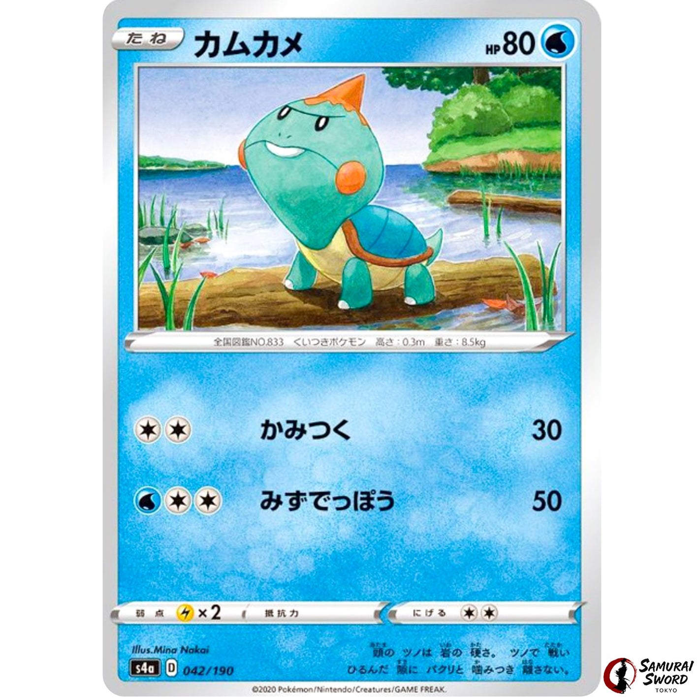 Chewtle Mirror Holo