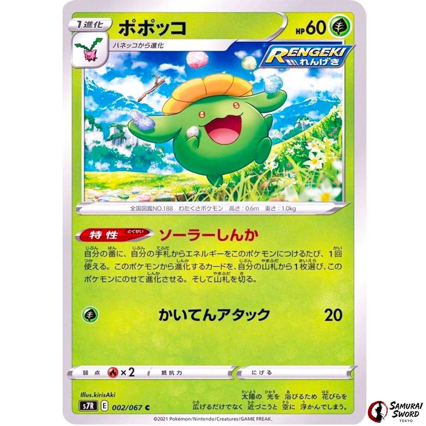 Skiploom