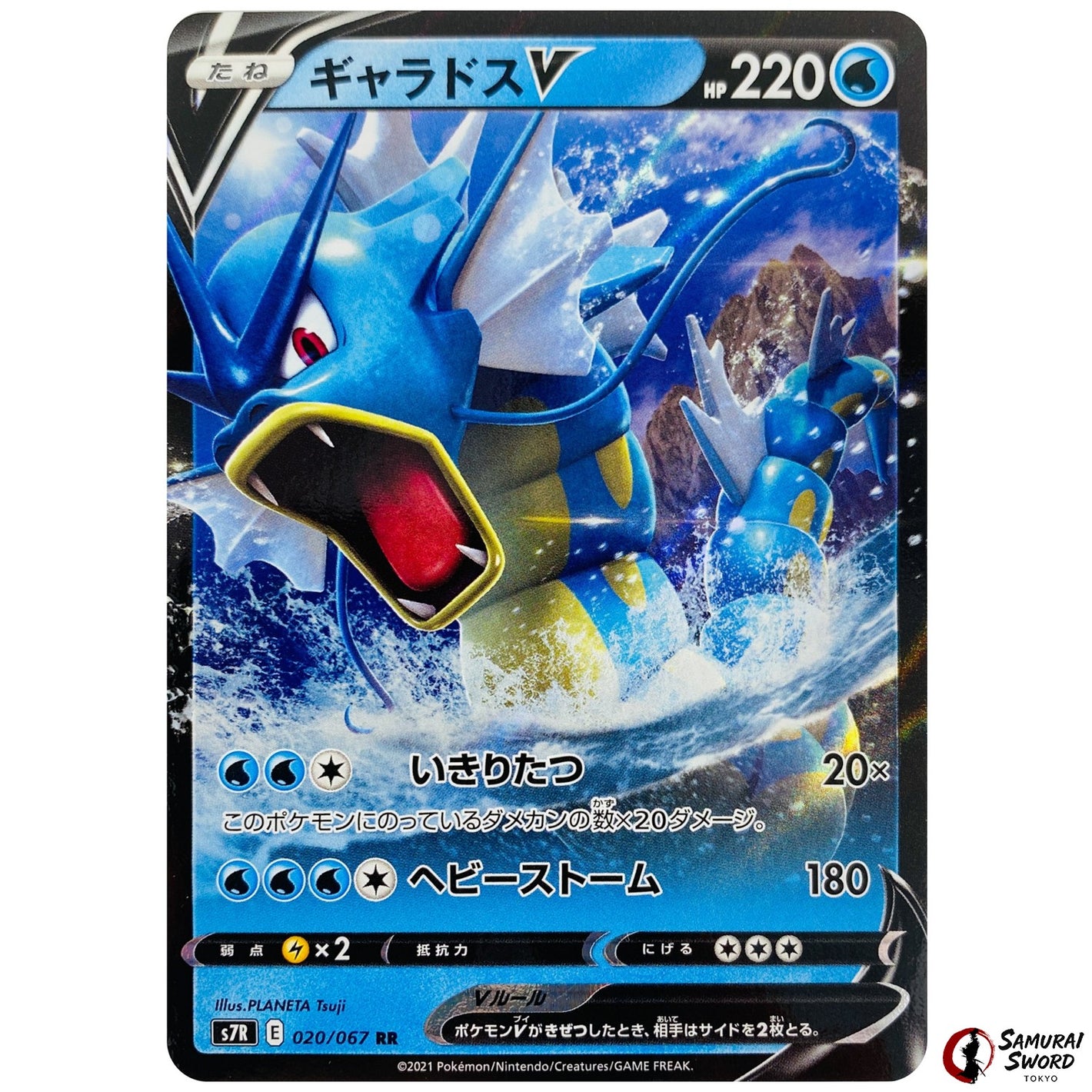 Gyarados V