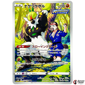 Passimian