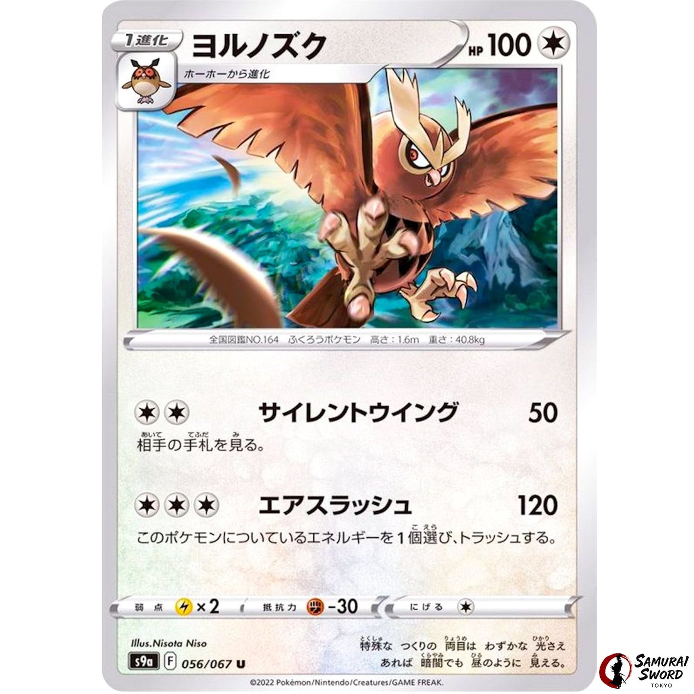 Noctowl