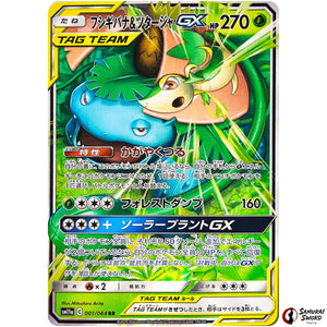 Venusaur & Snivy-GX