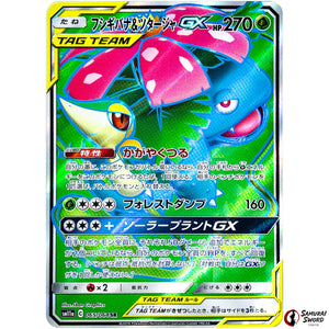 Venusaur & Snivy-GX