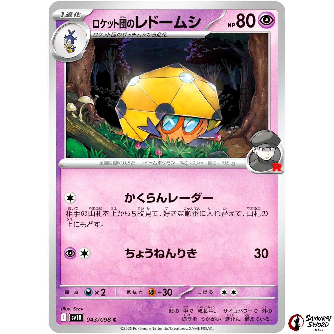 Team Rocket's Dottler