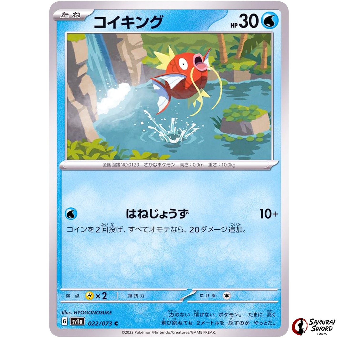 Magikarp