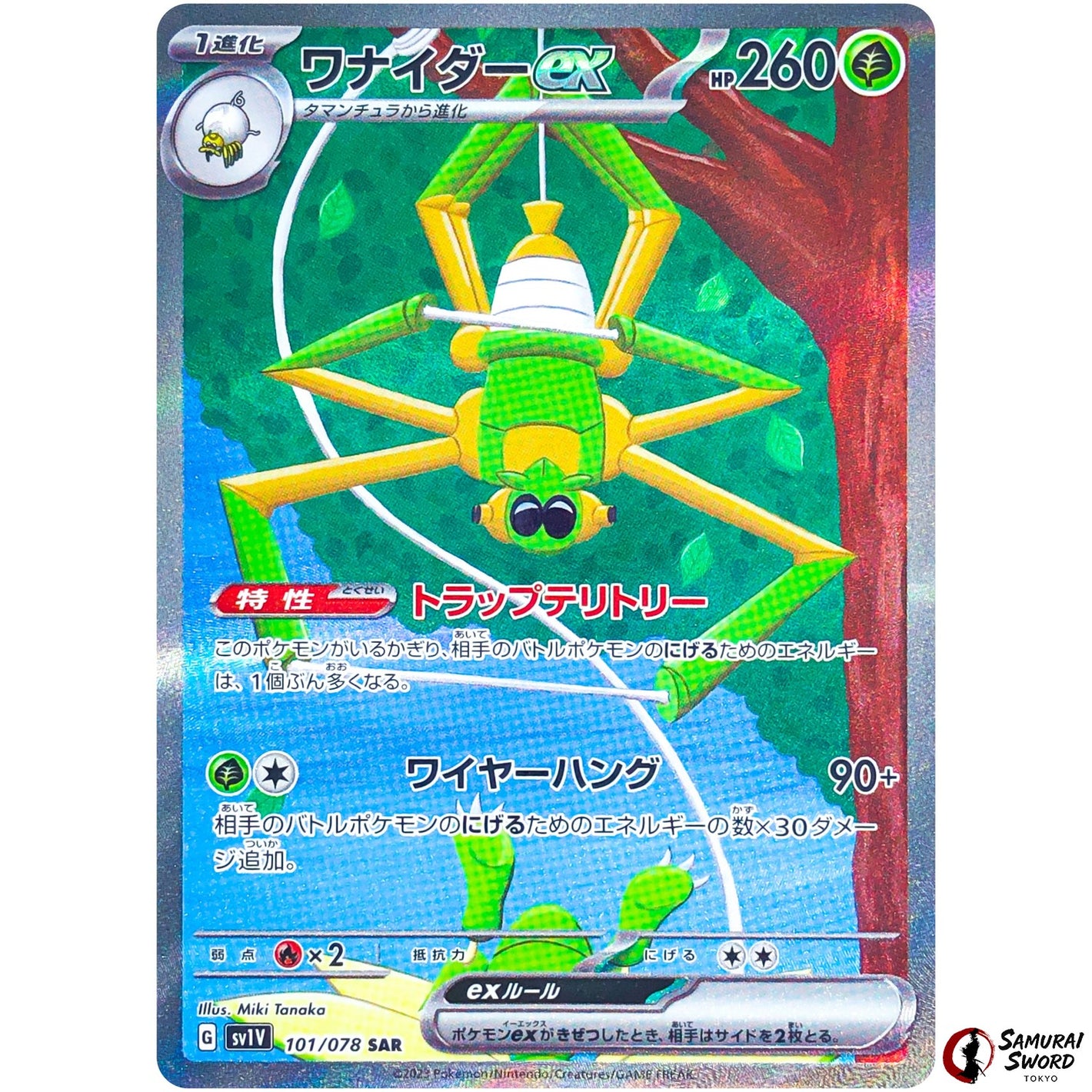 Spidops ex