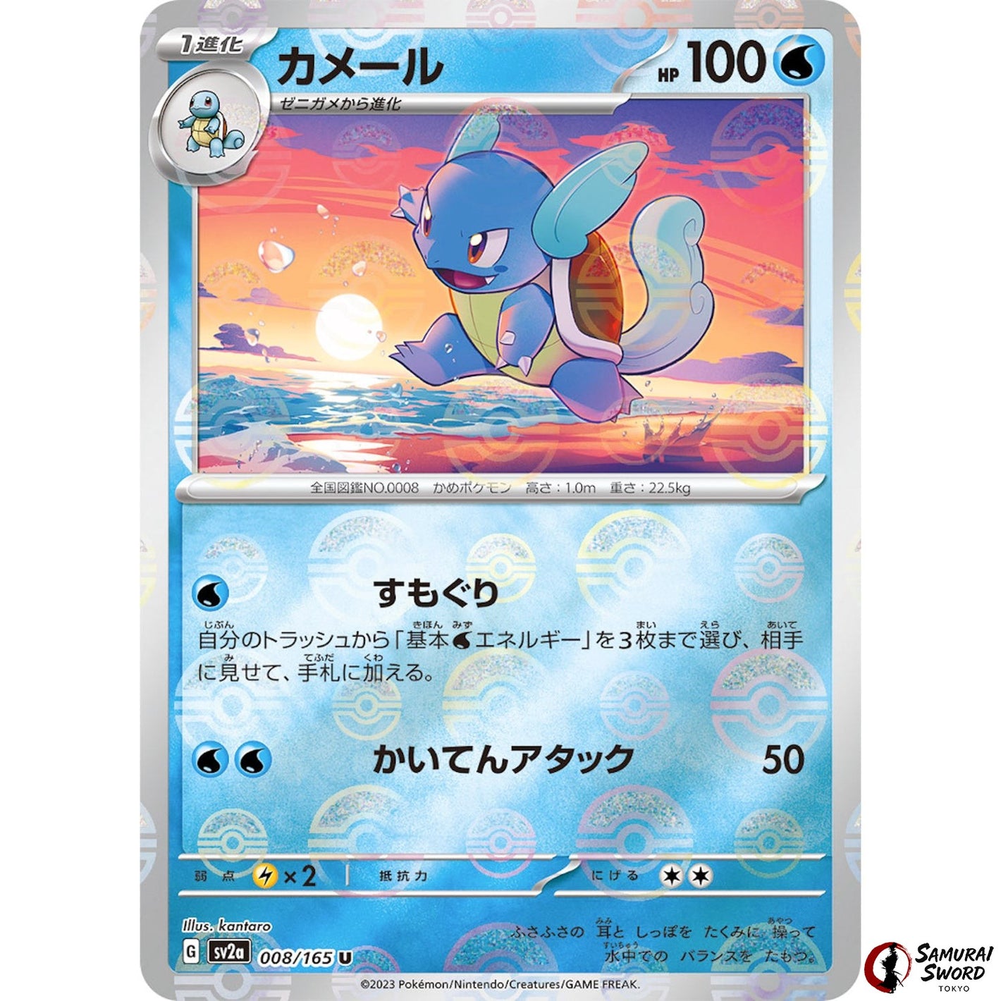 Wartortle Mirror Holo