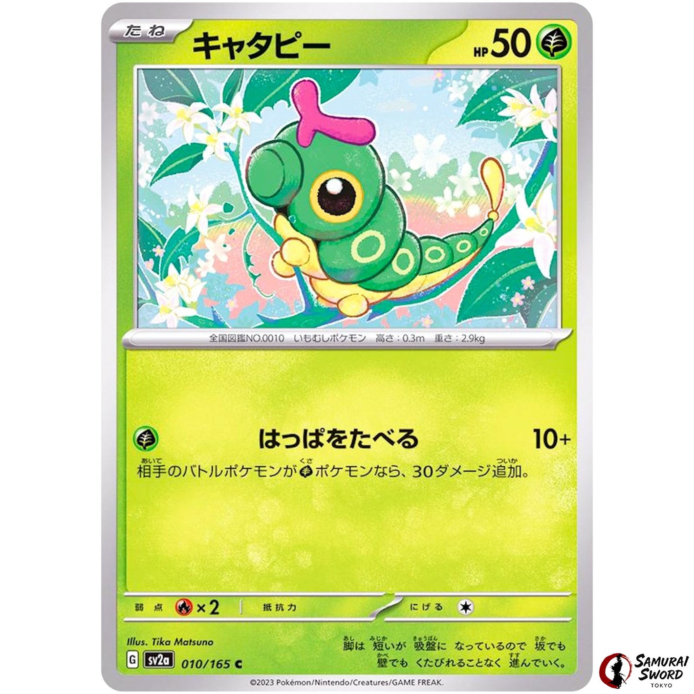 Caterpie