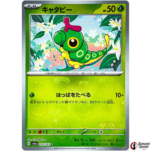 Caterpie Master Ball Mirror Holo