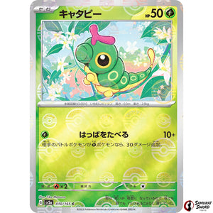 Caterpie Mirror Holo
