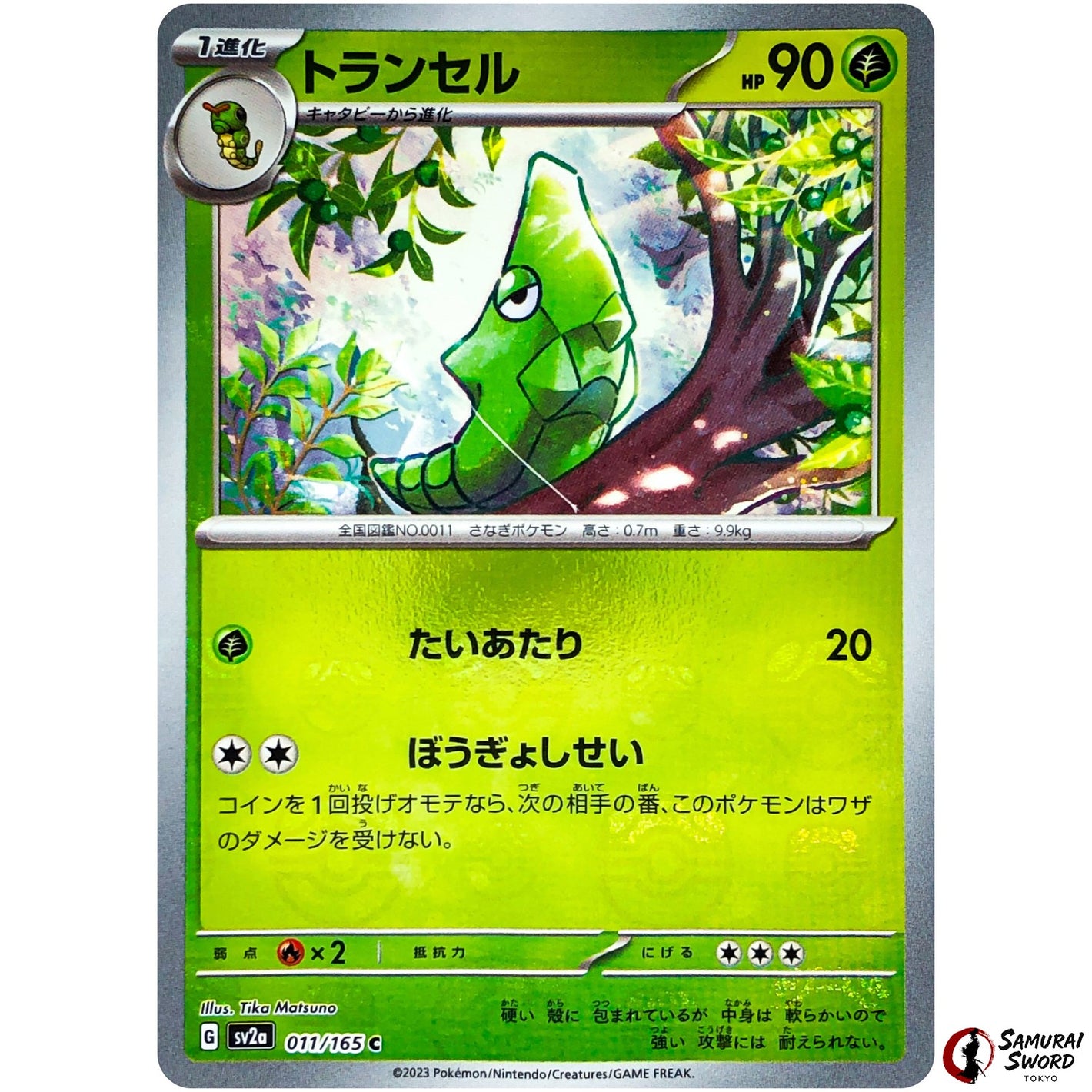 Metapod Master Ball Mirror Holo