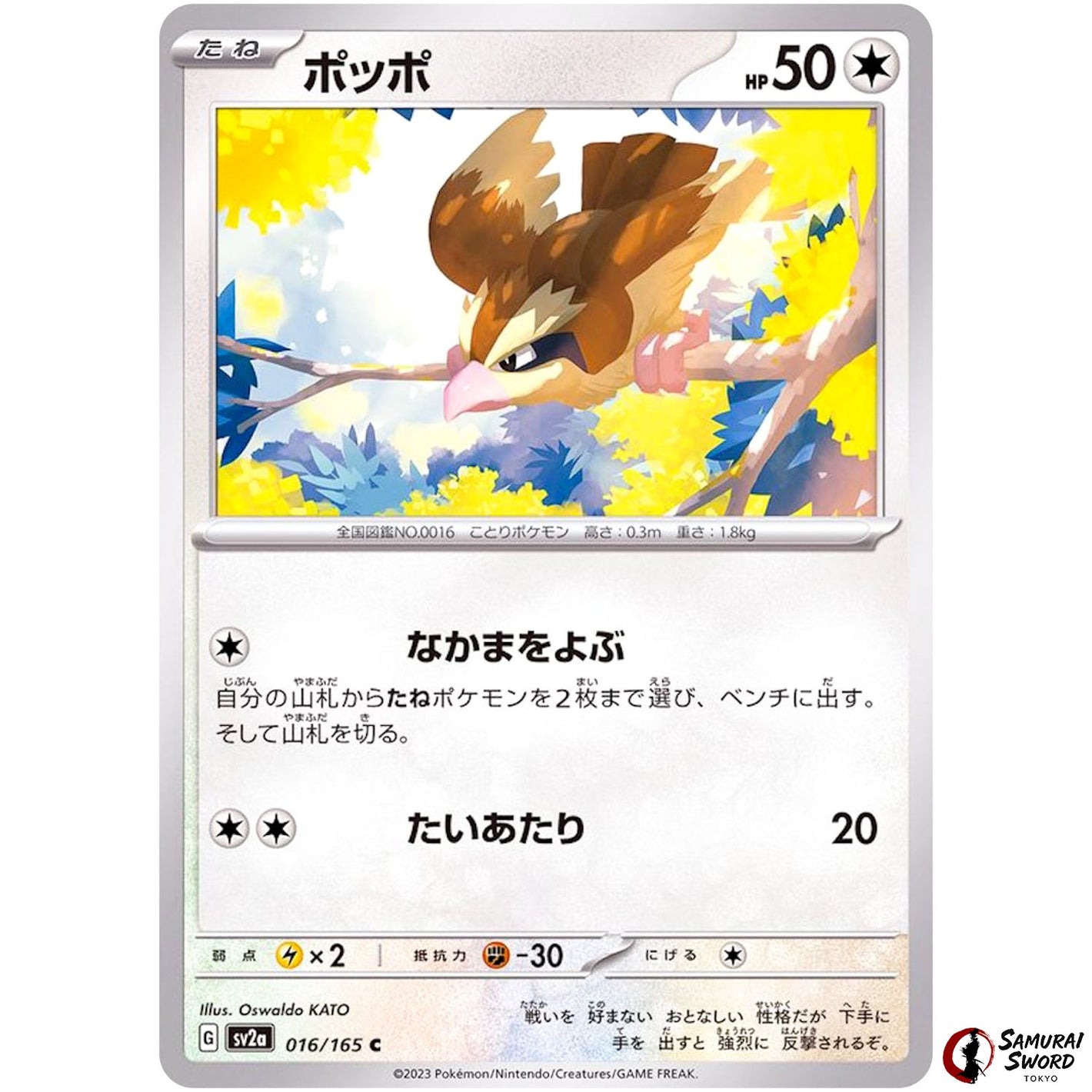 Pidgey