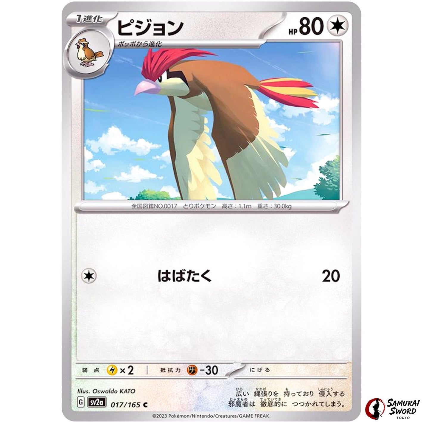 Pidgeotto