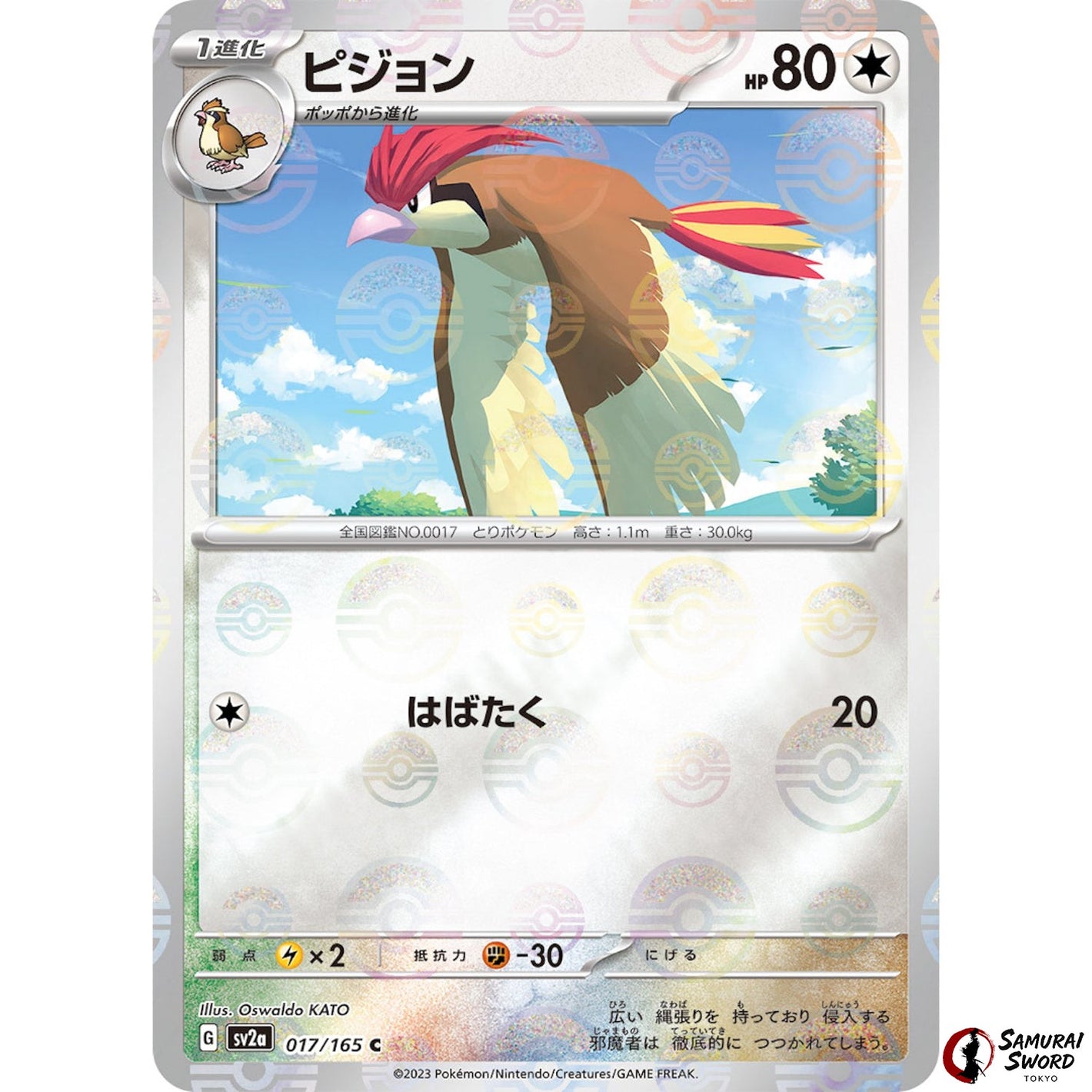 Pidgeotto Mirror Holo