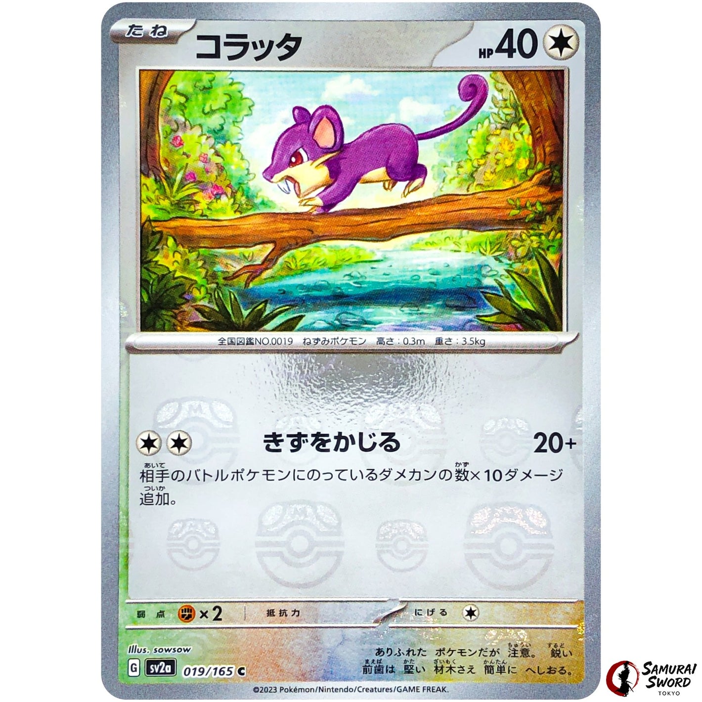 Rattata Master Ball Mirror Holo