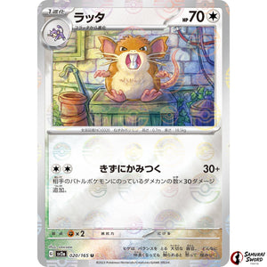 Raticate Mirror Holo
