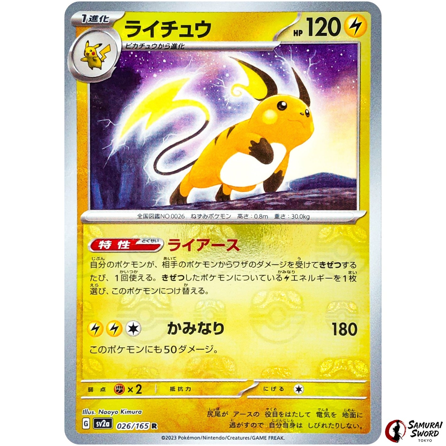 Raichu Master Ball Mirror Holo