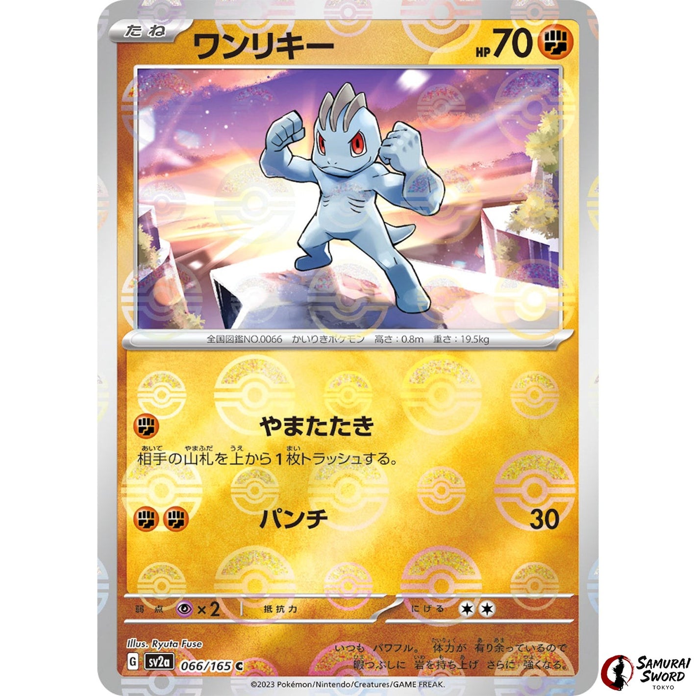 Machop Mirror Holo