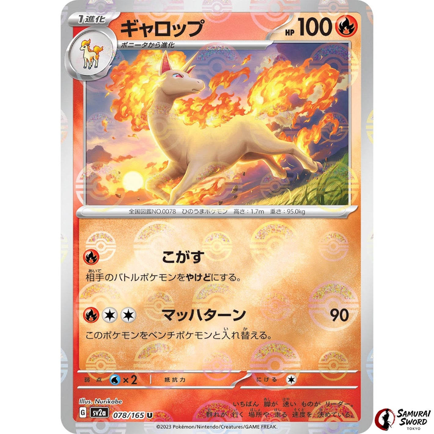 Rapidash Mirror Holo