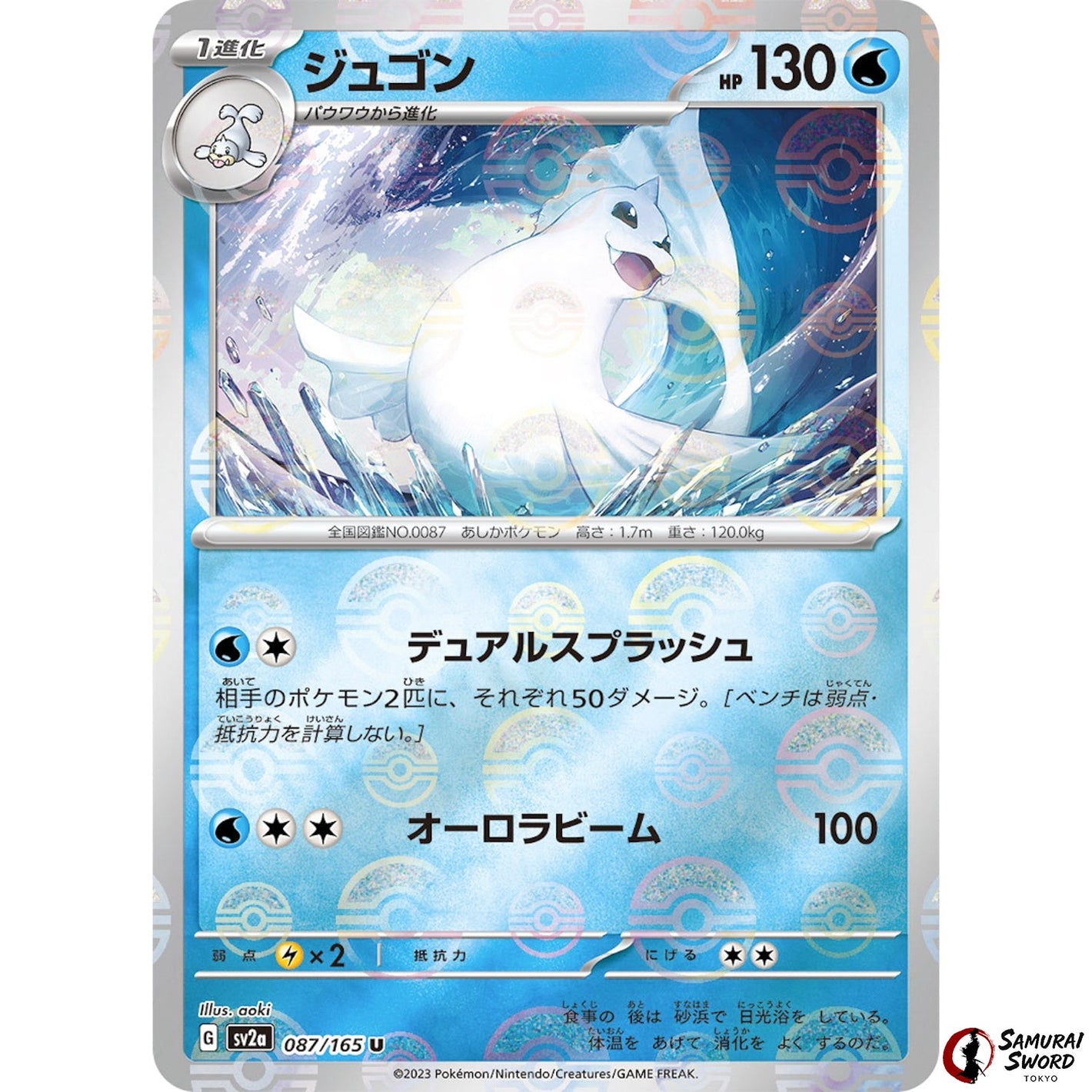 Dewgong Mirror Holo