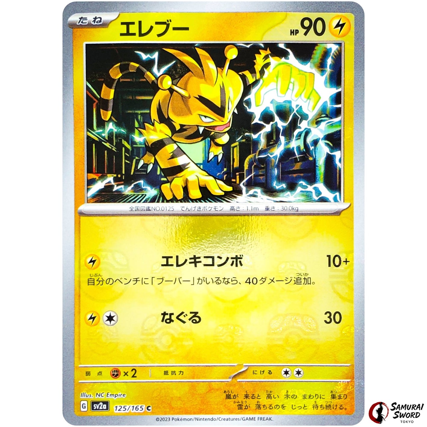 Electabuzz Master Ball Mirror Holo