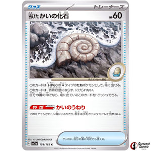 Antique Helix Fossil