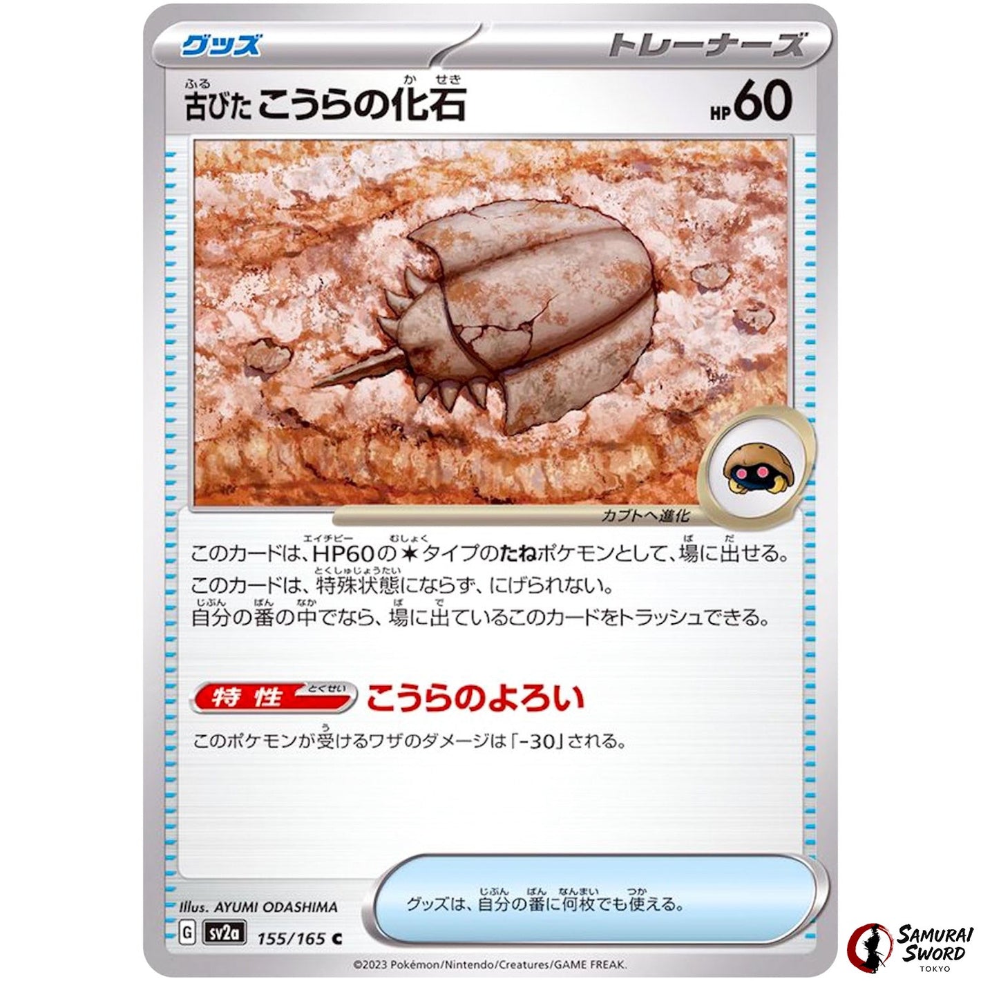 Antique Dome Fossil