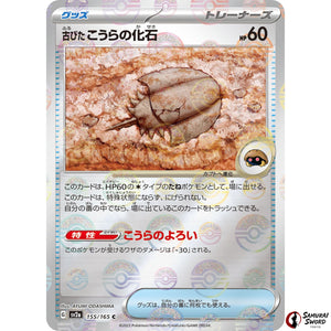 Antique Dome Fossil Mirror Holo
