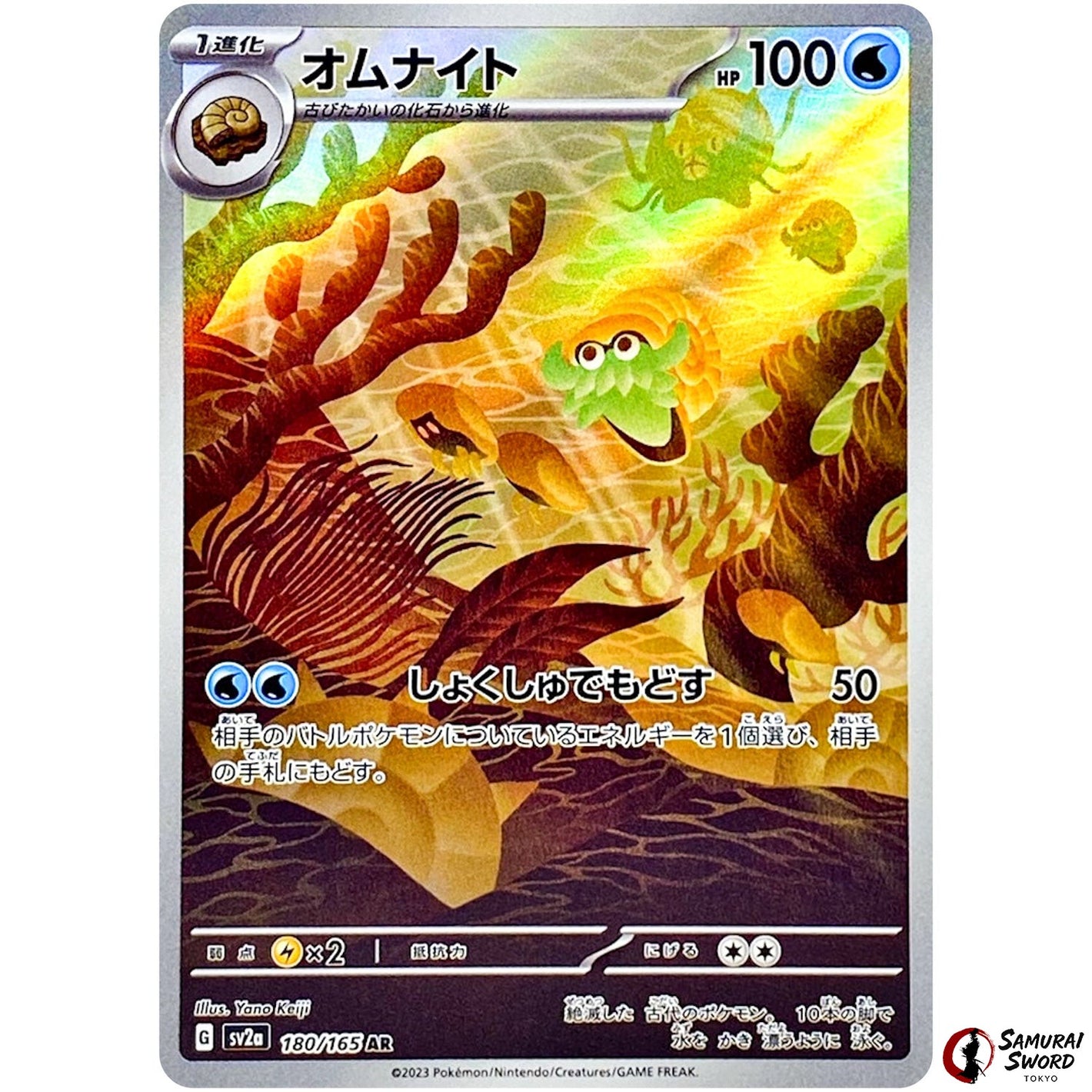 Omanyte
