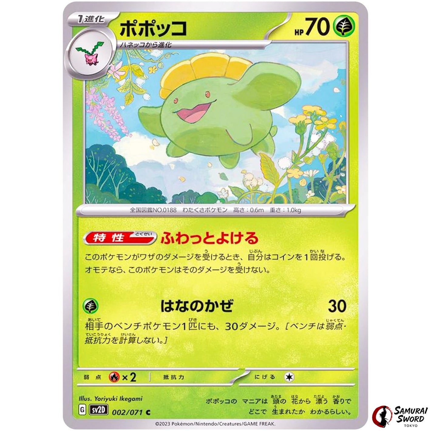 Skiploom