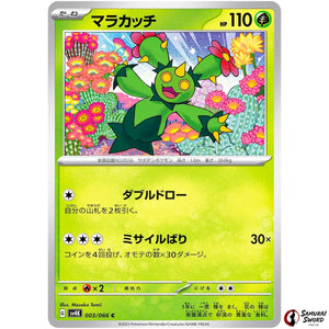 Maractus