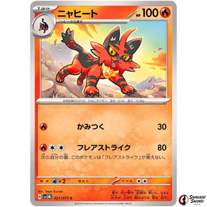 Torracat