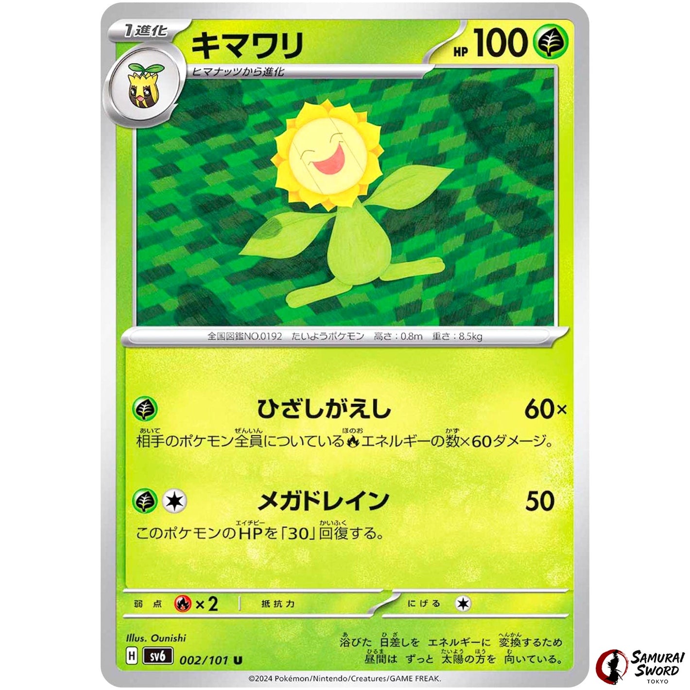 Sunflora