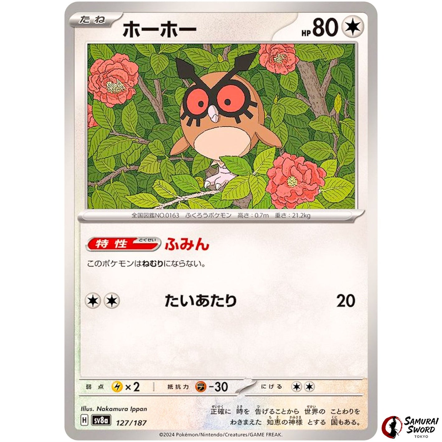 Hoothoot