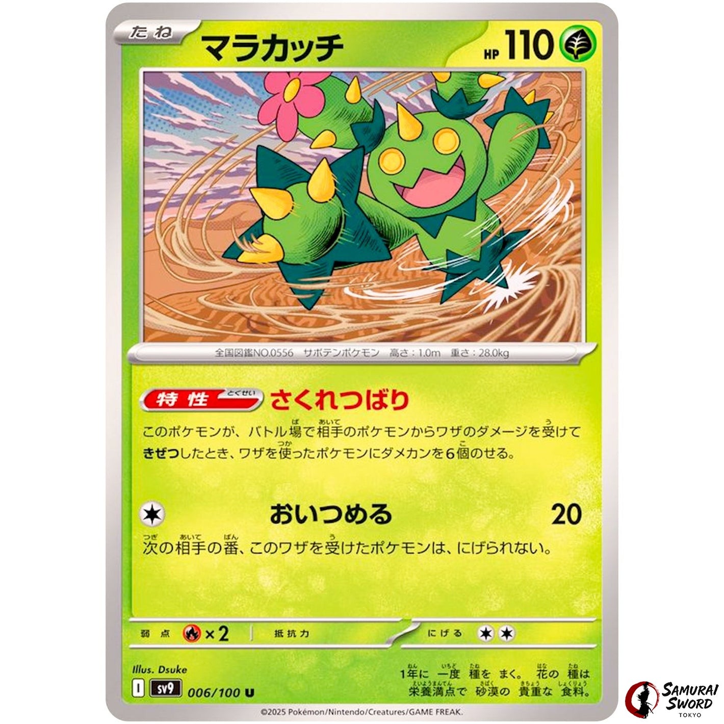 Maractus