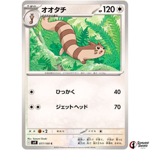 Furret