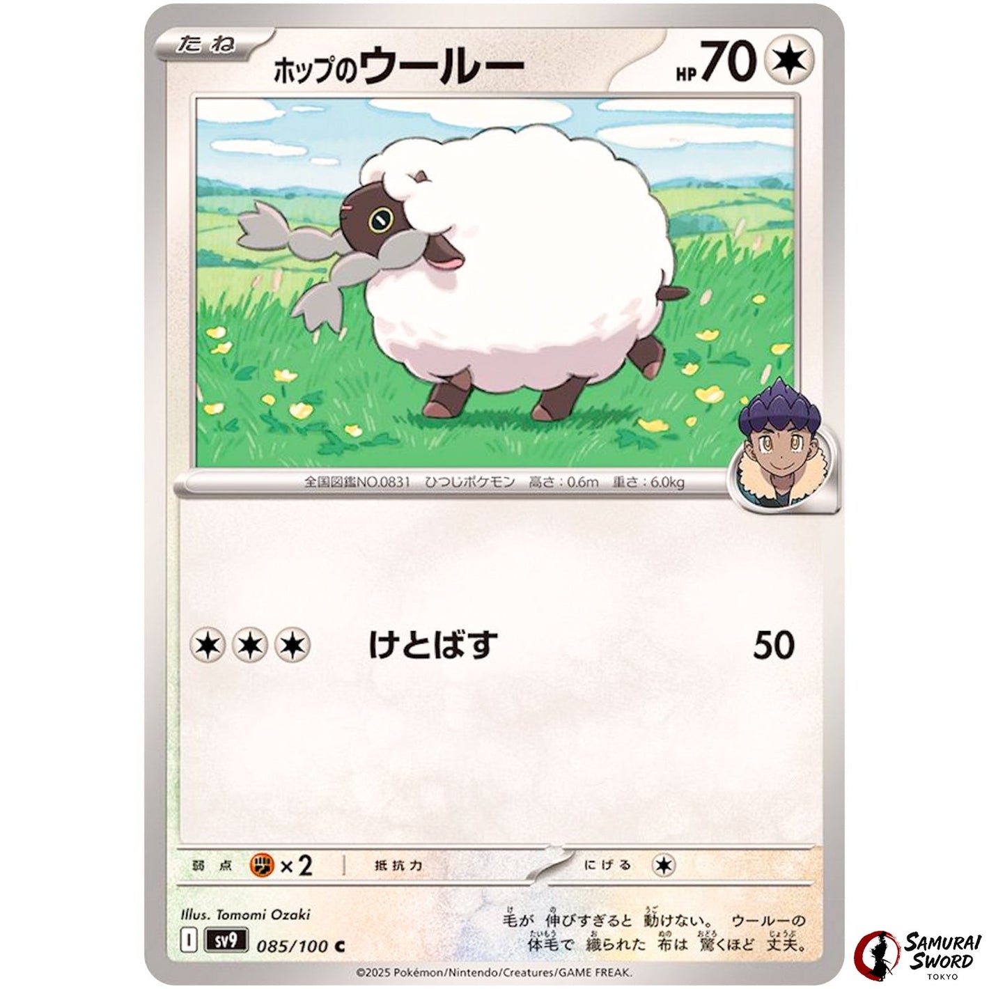 Hop's Wooloo